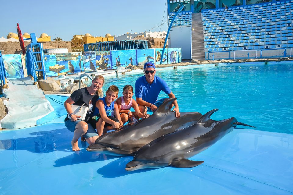 Dolphin show
