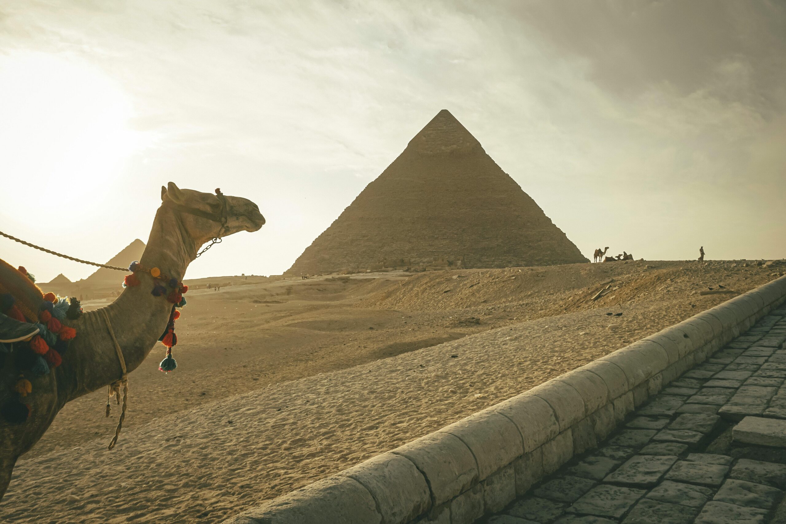 Pure Hurghada transfer & Excursions